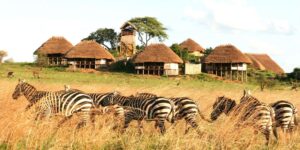 4-day Kidepo valley safari tour in Uganda