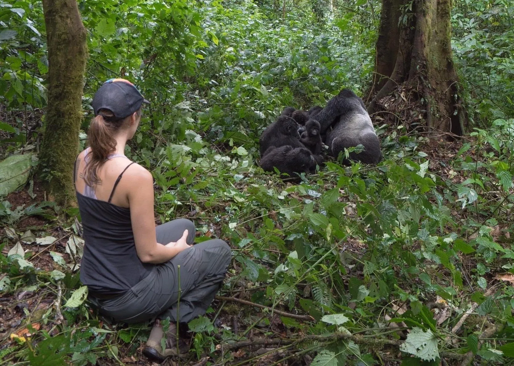 Uganda Gorilla Trekking Permit