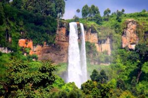 20 days uganda wildlife and nature experience