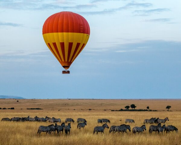 10 Day magnificent tourism in Tanzania