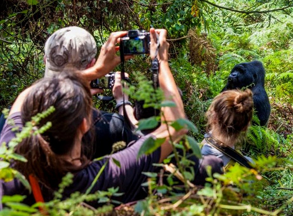 Group Safaris - Share the Adventure