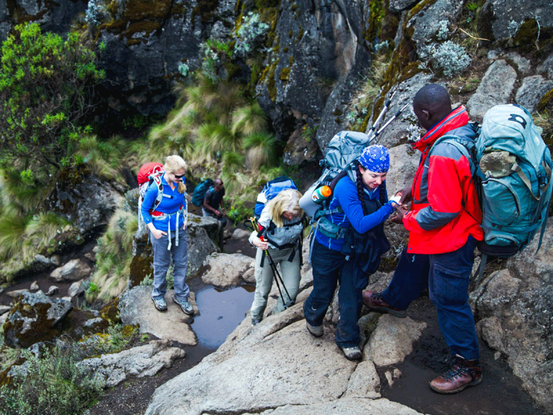 Family Safaris - Memories for All Ages