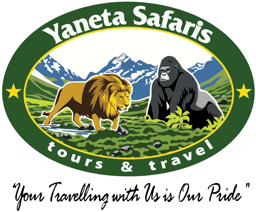 YANETA LOGO