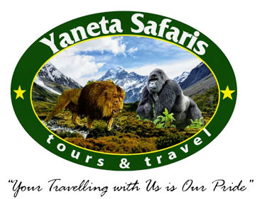Yaneta Safaris - Your Tours and Travel Trusted partner